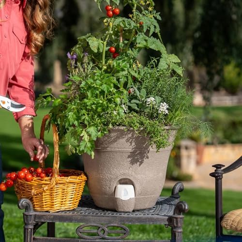 Bernini FirmaStone 15" Self-Watering Planters, Set of 2 – Durable Indoor/Outdoor Pots with Drainage Plug & Built-in Reservoir – Lightweight Garden Planters for Patio, Porch, Balcony (Cobalt Blue) - Image 7