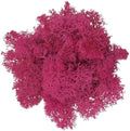 200g Artificial Moss for Crafts, Faux Decorative Plant for DIY Walls Wedding Party Table Centerpieces Home, Rose Red by LKXHarleya