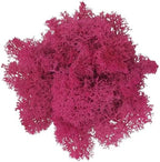 200g Artificial Moss for Crafts, Faux Decorative Plant for DIY Walls Wedding Party Table Centerpieces Home, Rose Red by LKXHarleya