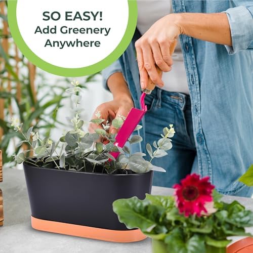 Window Garden Window Boxes Planters - 2-Pack Rectangular Planter - Window Sill Planter Box - Plastic Plant Pot with Water Level Indicator, Drainage Holes, and Trays - Image 6