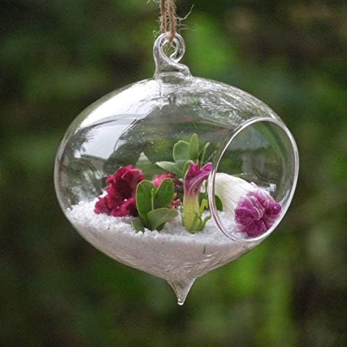 WGV Glass Hanging Plant Terrarium Bulk, Width 5", Height 5.5", Turnip DIY Succulent Air Planter Clear Tea Light Votive Candle Holder for Event Home Garden Outdoor Decor, 6 Pieces - Image 5