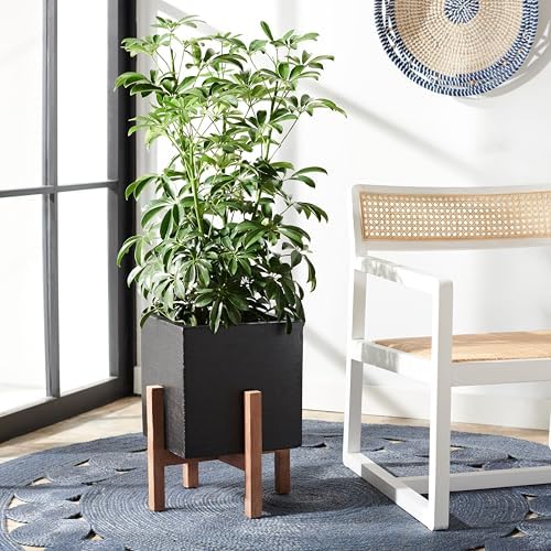 SAFAVIEH Outdoor Collection Borsla Natural/Black Concrete Planter - Image 2