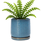 D'vine Dev Beaded Ceramic Pot with Saucer, 6 in, Ocean Teal, 27-C-X-8 by DvineDevPlanterPotsandStand