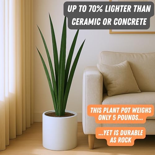 Fox & Fern Large Planter for Indoor or Outdoor, Matte White, 10 Inch - Image 3