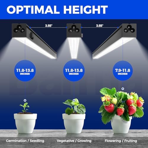 Barrina T5 Grow Lights, 5000K Full Spectrum Daylight White, 1FT, 8 Packs - Image 5