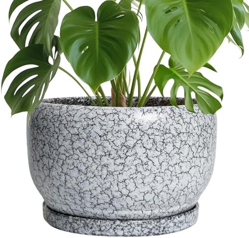SQOWL Ceramic Planters - 10 Inch Ceramic Flower Pot with Drainage Hole and Saucer, Decorative Plant Pot Indoor, Round Large Planter Outdoor, Bathroom Decor, Gifts for Plant Lovers, Black and White by SQOWL