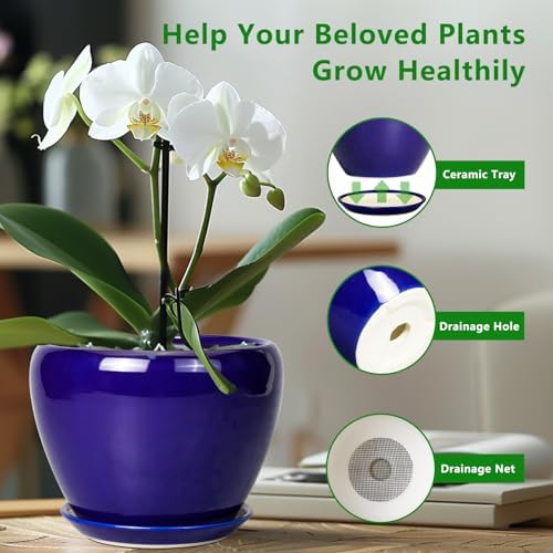 Ceramicfor Ceramic Plant Pot 8 Inch, Planter for Indoor Plants, Royal Blue - Image 6