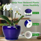 Ceramicfor Ceramic Plant Pot 8 Inch, Planter for Indoor Plants, Royal Blue - Image 6