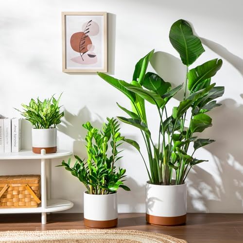 vancasso 6"+8"+10" Ceramic Pot for Plants, Large Outdoor Indoor Planter Pots with Drainage Holes, Set of 3, Khaki - Image 4