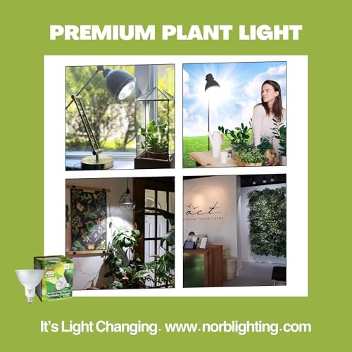 Norb NorbBOTANIC Full Spectrum Grow Light Bulb, Premium PAR38 LED Plant Light, 16W White Light for Indoor Plants, Herbs, Tropical Plants, 15 Degree - Image 6