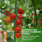 3 Pack 58" Square Tomato Cages for Garden - Large Tomato Trellis Stakes - Image 7