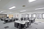 LUXRITE F54T5/841/HO 54W 46 Inch T5 Fluorescent Tube Light Bulb, 30-Pack - Image 2