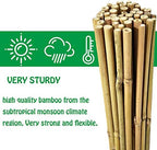 Mininfa Natural Bamboo Stakes 6 Feet, Eco-Friendly Garden Stakes, Plant Stakes Supports Climbing for Tomatoes, Trees, Beans, 20 Pack - Image 3