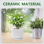 UPKOCH 1 Set Succulent Pots: Small Ceramic Planter Pots - Indoor Plant Planter with Drainage Hole & Saucers - White Flower Planter for Succulents Cactus Mini Plants - Image 3