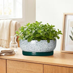 Bonsai Pots Ceramic, 10 Inch Succulent Pots with Tray, Texture Green - Image 6