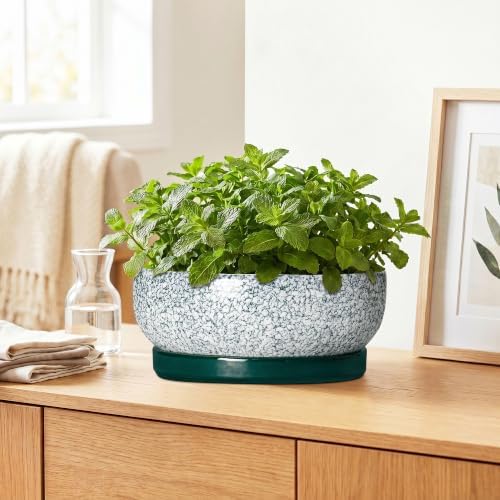 Bonsai Pots Ceramic, 10 Inch Succulent Pots with Tray, Texture Green - Image 6