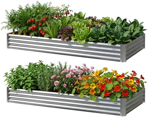 2Packs 6X2X1 FT Galvanized Raised Garden Beds Outdoor, Planter Raised Beds for Gardening, Vegetables, Flowers, Large Metal Garden Box, Deep Plant Flower pots Outdoor by METALRAISEGARDENBED