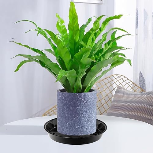 6 Pack Plant Saucer Drip Tray 16 inch, Potting Trays for Plants, Heavy Sturdy Plastic Planter Flower Pot Saucers for Indoor Outdoor Garden, Plant Water Drip Trays for pots (16", Black) - Image 4