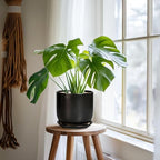 Ceramic Planter 7 Inch - Cylinder Round Modern Indoor Plant Pot for Plants with Drainage Hole and Saucer, Room Home Patio Office Patio Decor, Black - Image 6