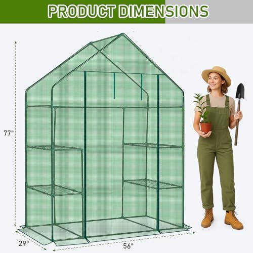 Outvita Walk-in Greenhouse, 3 Tiers 4 Shelves, Durable PE, 56"x29"x77" - Image 2