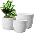 WOUSIWER Plant Pots 10/9/8 inch, Set of 3 Modern Decorative Plastic Planters with Drainage Holes and Saucers for House Plants Indoor Flowers Plants, White Speckles by WOUSIWER