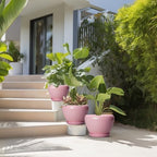 Ceramic Planters, 10+8+6 Inch Ceramic Plant Pots Indoor, Pink - Image 7