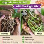 DUSPRO 4in1 Orchid Potting Mix for Repotting,Pre-Mixed & Ready to Use, 20QT - Image 2