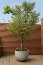 Large Resin Planter Pot for Trees Big Flower – Lightweight Round Plant Pot with Stone-Textured Finish, Weather-Resistant Decorative Outdoor & Indoor (XL - 21.7") - Image 4