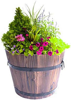 Wooden Whiskey Barrel Planters, Medium by Gardenised