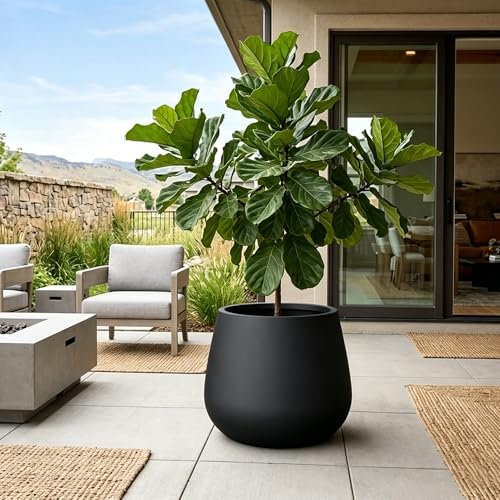 Kante Modern Home Minimalist 18.1" Dia Raven Black Concrete Curved Planter - Image 4