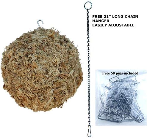 Sphagnum Moss Living Kokedama Ball, Sphere, Hanging Form - 8" Diameter - Made in USA - Image 3