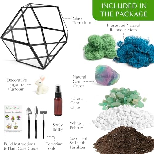 Creations by Nathalie DIY Geometric Glass Terrarium Kit with Moss and Tools - Image 4