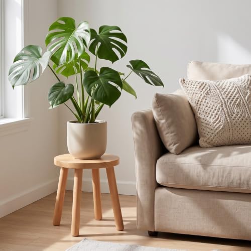 Solid Wooden Stool, Plant Stand,Step Stool,Small Round Stool,Walnut,11.8" H - Image 2