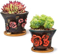 5.5 Inch Succulent Pot Handmade Flower Design Round Ceramic Antique Plant Pot Cactus Pot Planter with Drainge and Saucer Set of 2 by SUMMERIMPRESSIONS