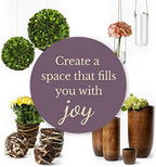 Preserved Boxwood Balls Decorative Filler for Centerpiece, Bowl, Vase, Home Decoration - Natural Tone - Dough Basket Fillers (8' Diameter) - Image 5