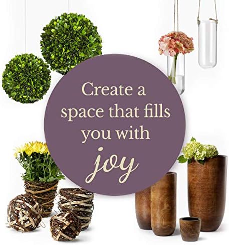 Preserved Boxwood Balls Decorative Filler for Centerpiece, Bowl, Vase, Home Decoration - Natural Tone - Dough Basket Fillers (8' Diameter) - Image 5