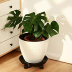 8 Packs 12 Inches Plant Caddy with PU Wheels Large Rolling Plant Stands Plastic Plant Roller Base Pot Movers Planter Saucer on Wheels Indoor Outdoor Wheeled Plant Dolly Planter Tray Coaster - Image 5