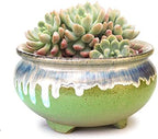 7 Inch Glazed Terracotta Plant Pot Round Ceramic Succulent Planter Pot with Drainage and Saucer Cactus Clay Pot (Green Flowing Glaze) by SUMMERIMPRESSIONS