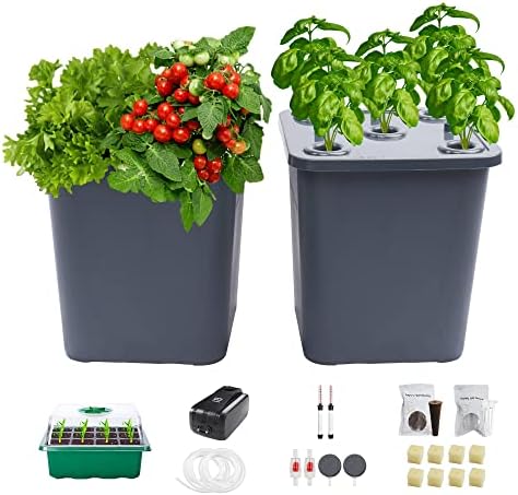 2 Hydroponic Buckets Kit for Plants, Hydroponics Growing System for Herbs/Tomato/Vegetables, DWC System with Air Pump & Germination Tray (Complete Indoor Hydroponic Gardening Supplies) by LAWNFUL