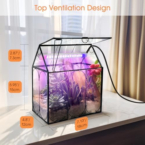 RIFNY Plant Terrarium with Grow Light, Glass Terrarium 7.1 x 4.8 x 8.8 Inch - Image 5