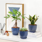 Sureasy Ceramic Indoor Plant Pots - 5.6 Inch Flower Pots for Plants with Drainage Hole and Saucer, Embossed Planter for Succulents, Orchid, Cactus, Indoor Home Decor, Set of 4, Blue - Image 6