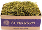 SuperMoss (27011 Preserved Spanish Moss – Decorative Moss for Crafts, Potted Plants, Fairy Gardens, Vase Filler, Floral Arrangements & Indoor/Outdoor Garden Projects, 1,560 cu in, Basil by SuperMoss