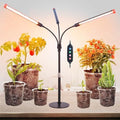 FRGROW 3Head Tabletop Grow Lights for Indoor Plants, Seed Starting, Veg by FRGROWLEDGROWLIGHTS