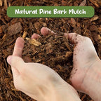 Soil Sunrise 100% Natural Pine Bark Mulch Nuggets (12 Quarts) Small Chips for Indoor/Outdoor Container Gardening, Ideal for Soil Supplement, Houseplant Topper, and Terrariums - Image 3