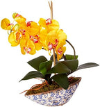 Nearly Natural Phalaenopsis Orchid Artificial Arrangement in Vase by NearlyNatural