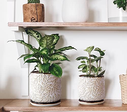 D'vine Dev 2-Pack Embossed Leaves Planter, 4/6 in, Smoked White, 27-B-U-1 - Image 5