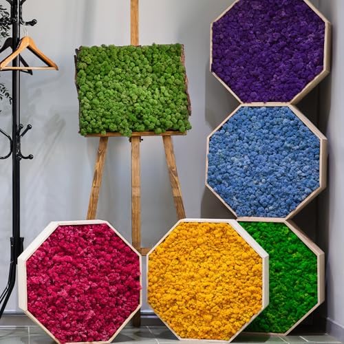 uxcell Preserved Reindeer Moss, 17.6oz Fake Moss for Crafts Artificial Dried Moss for Decoration Terrariums Potted Plants, Blue - Image 7