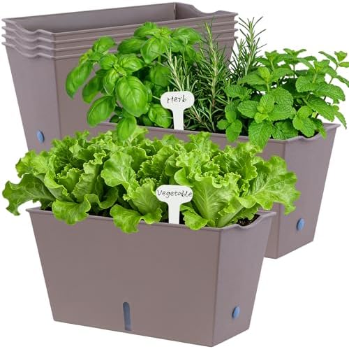 Oliz Window Box Planter 6 Pcs, 12.6 Inches Self Watering Rectangle Flower Plant Pots with Drainage Holes & Breathable Trays, Vegetable Planters for Windowsill Patio Garden Balcony Porch Yard (Khaki) - Image 2