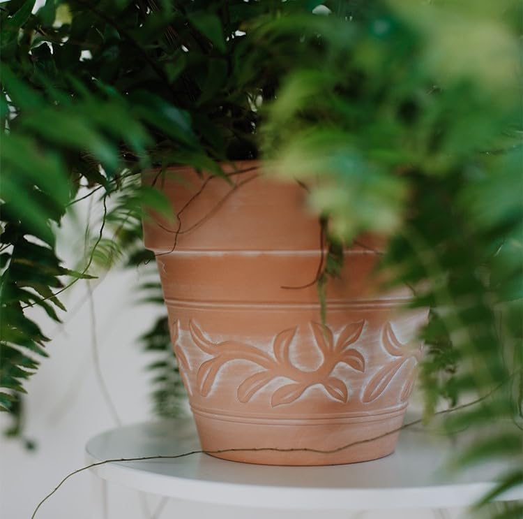 8" Embossed Whitewashed Terracotta Planter with Drainage Hole & Saucer, Rustic Style Unglazed Terracotta Pot for Indoor & Outdoors Plants - Image 3