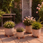 LemonRoad 12 Set Terra Cotta Cement Pot Feet for Outdoor Planters, Funny - Image 6